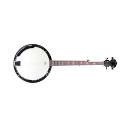 Denver 5 String Banjo w/ Bag